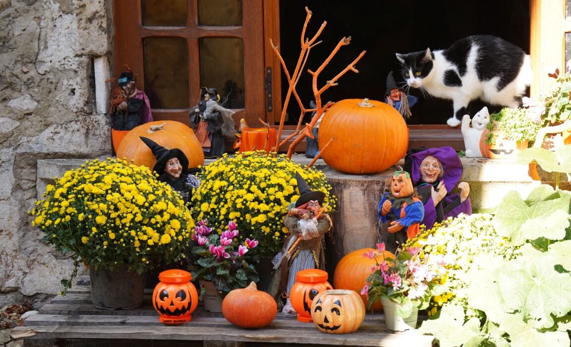 Halloween Decoration Ideas for Your Home - Indoor and Outdoor Guide