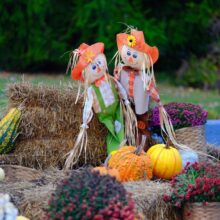 Best Fall Festivals in the USA — Harvest Events, Pumpkin Patches & Autumn Celebrations